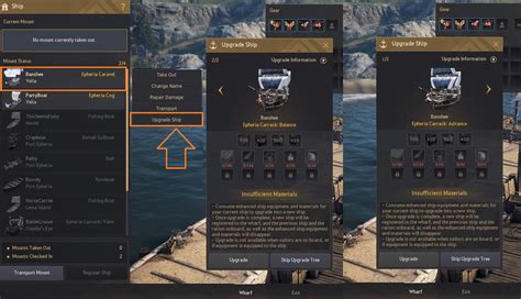bdo carrack gear guide.